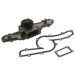 Water Pump | Febi Bilstein 39302