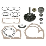 Water Pump Repair Kit | Febi Bilstein 11622