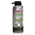 Wynns Petrol EGR Cleaner (29881)