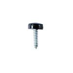 Connect Number Plate Screws - Black - No.8 x 3/4in. (31540)