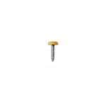 Connect Number Plate Screws - Yellow Polytop - 4.8mm x 24.0mm (31547)