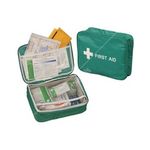 Safety First Aid Vehicle First Aid Kit in Nylon Case (K366T)