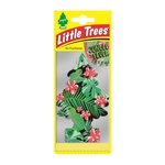 Little Trees Jungle Fever - 2D Air Freshener (MTR0081)