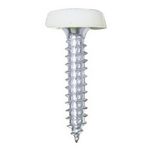 Pearl Consumables Number Plate Plastic Top Screws - White (PNP692)