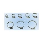 Pearl Consumables Hose Clips S/S OX 18-25mm (PSHC04)