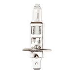 RING Halogen Bulb 12V 55W H1A P14.5s - Headlamp Premium - Pack of 2 (RW448EQ)