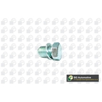 Oil Sump Plug (Fits: VW & Audi) | BGA PK0101