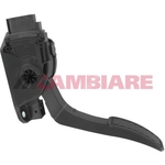 Cambiare Accelerator Pedal Position Sensor (VE378053)