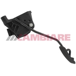 Cambiare Accelerator Pedal Position Sensor (VE378054)