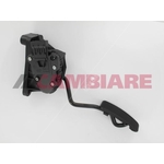 Cambiare Accelerator Pedal Position Sensor (VE378058)