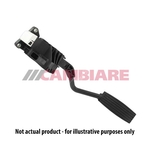 Cambiare Accelerator Pedal Position Sensor (VE378074)