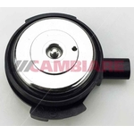 Cambiare Camshaft Adjustment Control Valve (VE715038)