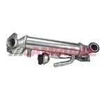 Cambiare EGR Cooler (VE360295)