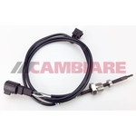 Cambiare Exhaust Gas Temperature Sensor (VE390271)
