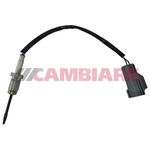 Cambiare Exhaust Gas Temperature Sensor (VE390280)