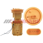 Cambiare Fuel Feed Unit (VE523984)