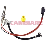Cambiare Fuel Vapour Valve (FVV) (VE521000)
