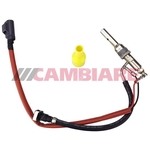 Cambiare Fuel Vapour Valve (FVV) (VE521005)