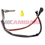 Cambiare Fuel Vapour Valve (FVV) (VE521008)
