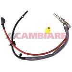 Cambiare Fuel Vapour Valve (FVV) (VE521010)