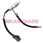 Cambiare Fuel Vapour Valve (FVV) (VE521012)