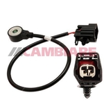Cambiare Knock Sensor (VE369043)