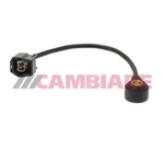 Cambiare Knock Sensor (VE369055)