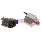 Cambiare Knock Sensor (VE369059)