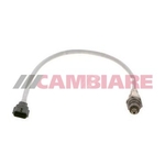 Cambiare Lambda Oxygen Sensor (VE381823)