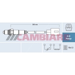 Cambiare Lambda Oxygen Sensor (VE381868)