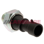 Cambiare Oil Pressure Switch (VE706029)