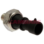Cambiare Oil Pressure Switch (VE706030)