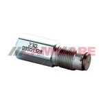 Cambiare Pressure Control Valve (VE525011)
