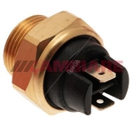 Cambiare Radiator Fan Switch (VE709001)