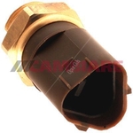 Cambiare Radiator Fan Switch (VE709006)