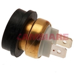 Cambiare Radiator Fan Switch (VE709018)