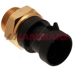 Cambiare Radiator Fan Switch (VE709076)