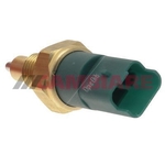 Cambiare Reverse Light Switch (VE724185)