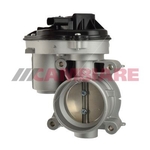 Cambiare Throttle Body (VE387118)