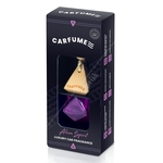 Carfume Luxury Car Frangrance Hanging Diffuser - Alien Spirit