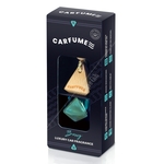 Carfume Luxury Car Frangrance Hanging Diffuser - Bossy