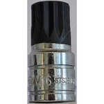 Carlyle Hand Tools 40mm Long Multispline Bit - 3/8 Inch Drive (STS3816M)