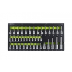 Carlyle Hand Tools Master Star & Hex Bit Socket Set (CBSTH41)