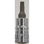 Carlyle Hand Tools Star Plus Bit Socket  - 1/4 Inch Drive (S14TP20)