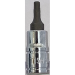 Carlyle Hand Tools Tampe Star Bit Socket  - 1/4 Inch Drive (S14T15H)