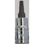 Carlyle Hand Tools Tampe Star Bit Socket  - 1/4 Inch Drive (S14T20H)