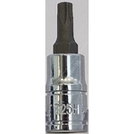 Carlyle Hand Tools Tampe Star Bit Socket  - 1/4 Inch Drive (S14T25H)