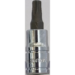 Carlyle Hand Tools Tampe Star Bit Socket  - 1/4 Inch Drive (S14T27H)