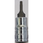 Carlyle Hand Tools Tampe Star Bit Socket  - 1/4 Inch Drive (S14T8H)