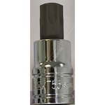 Carlyle Hand Tools Tampe Star Bit Socket - 3/8 Inch Drive (S38T55H)